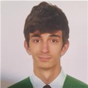 Profesor de primaria para niños , clases online o presencial